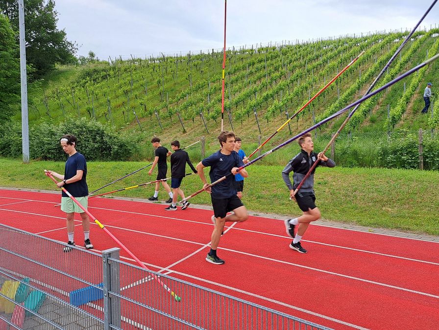 Stab-Training mit Weinbergpanorama